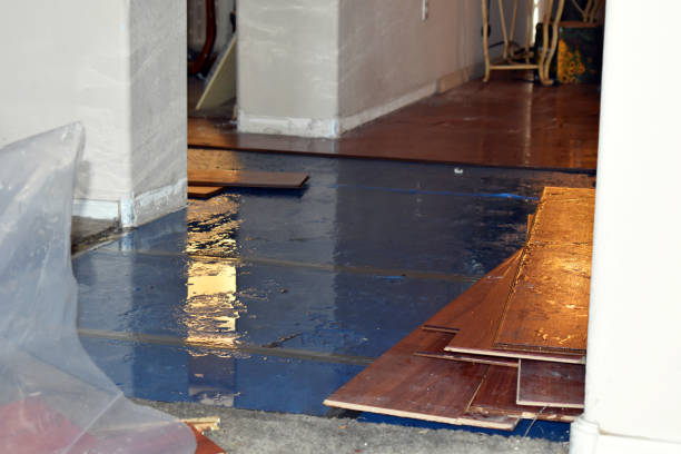 Professional Flood Damage Repair technician working in Rockport, MA
